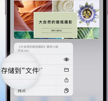 海原apple维修中心分享iPhone文件应用中存储和找到下载文件