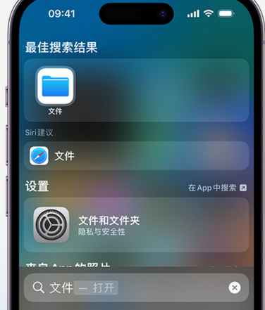 海原apple维修中心分享iPhone文件应用中存储和找到下载文件 