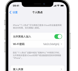 海原apple服务站点分享iPhone上个人热点丢失了怎么办 