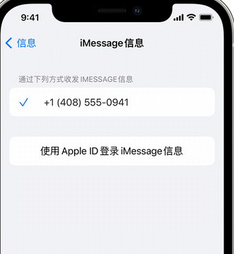 海原apple维修iPhone上无法正常发送iMessage信息 