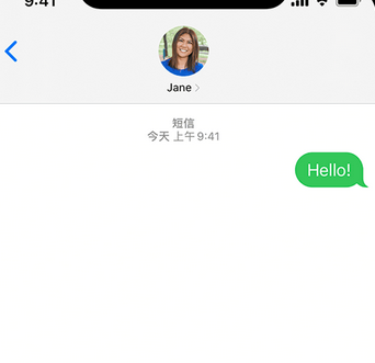 海原apple维修iPhone上无法正常发送iMessage信息