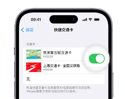 海原apple维修点分享iPhone上更换Apple Pay快捷交通卡手绘卡面 