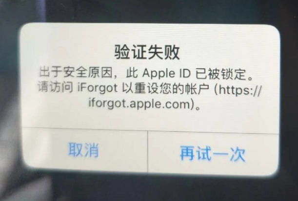 海原iPhone维修分享iPhone上正常登录或使用AppleID怎么办 