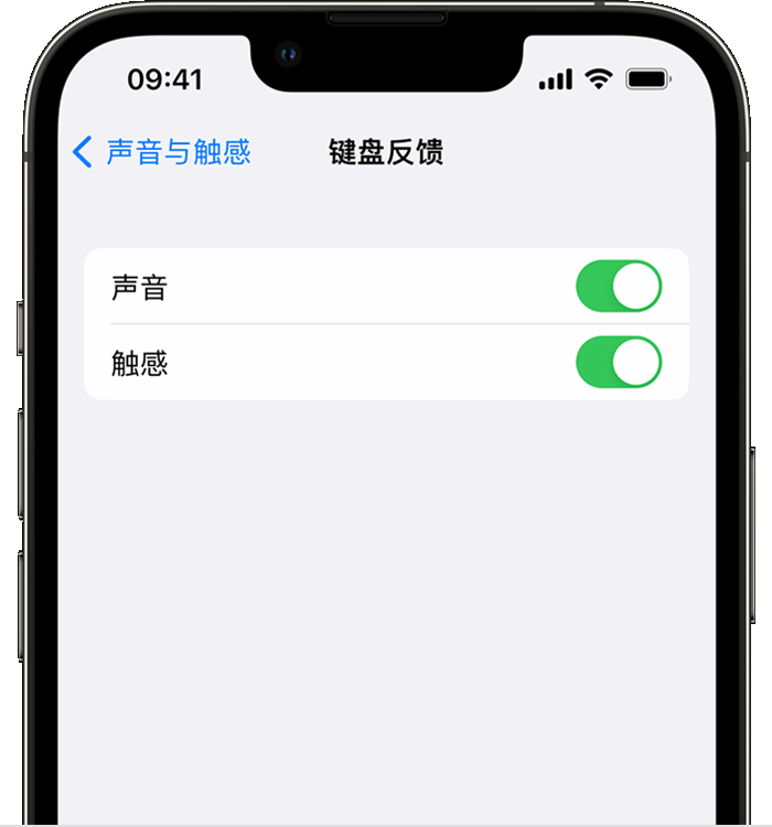 海原苹果14维修店分享如何在 iPhone 14 机型中使用触感键盘 