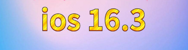 海原苹果服务网点分享苹果iOS16.3升级反馈汇总 