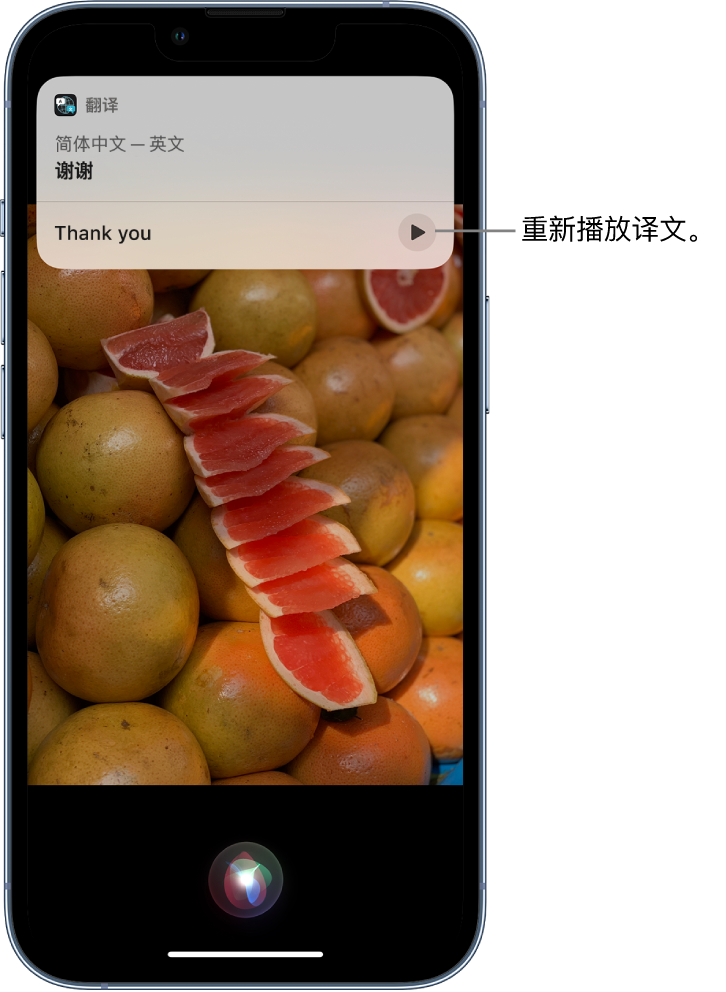 海原苹果14维修分享 iPhone 14 机型中使用 Siri：了解 Siri 能帮你做什么 