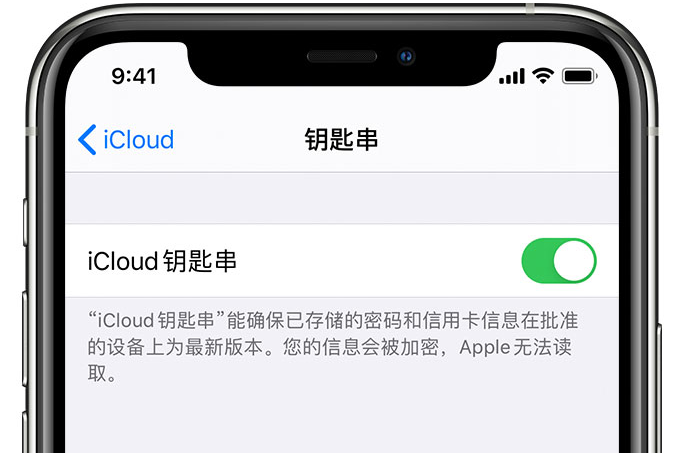 海原苹果手机维修分享在 iPhone 上开启 iCloud 钥匙串之后会储存哪些信息 