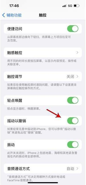 海原苹果手机维修分享iPhone手机如何设置摇一摇删除文字 